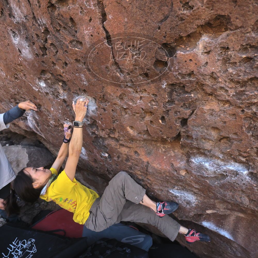 

Filename: SRM_20260329_0925140.jpg
Aperture: f/5.6
Shutter Speed: 1/640
Body: Canon EOS R6
Lens: Canon EF 16-35mm f/2.8 L