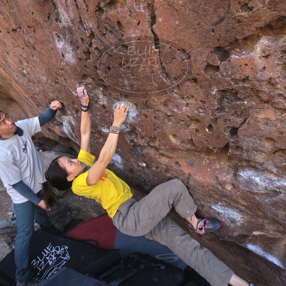 

Filename: SRM_20260329_0925210.jpg
Aperture: f/5.6
Shutter Speed: 1/640
Body: Canon EOS R6
Lens: Canon EF 16-35mm f/2.8 L