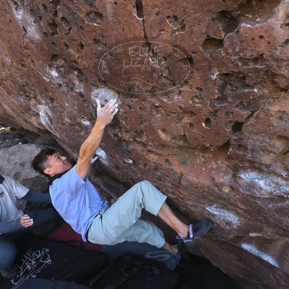 

Filename: SRM_20260329_0928240.jpg
Aperture: f/5.6
Shutter Speed: 1/640
Body: Canon EOS R6
Lens: Canon EF 16-35mm f/2.8 L