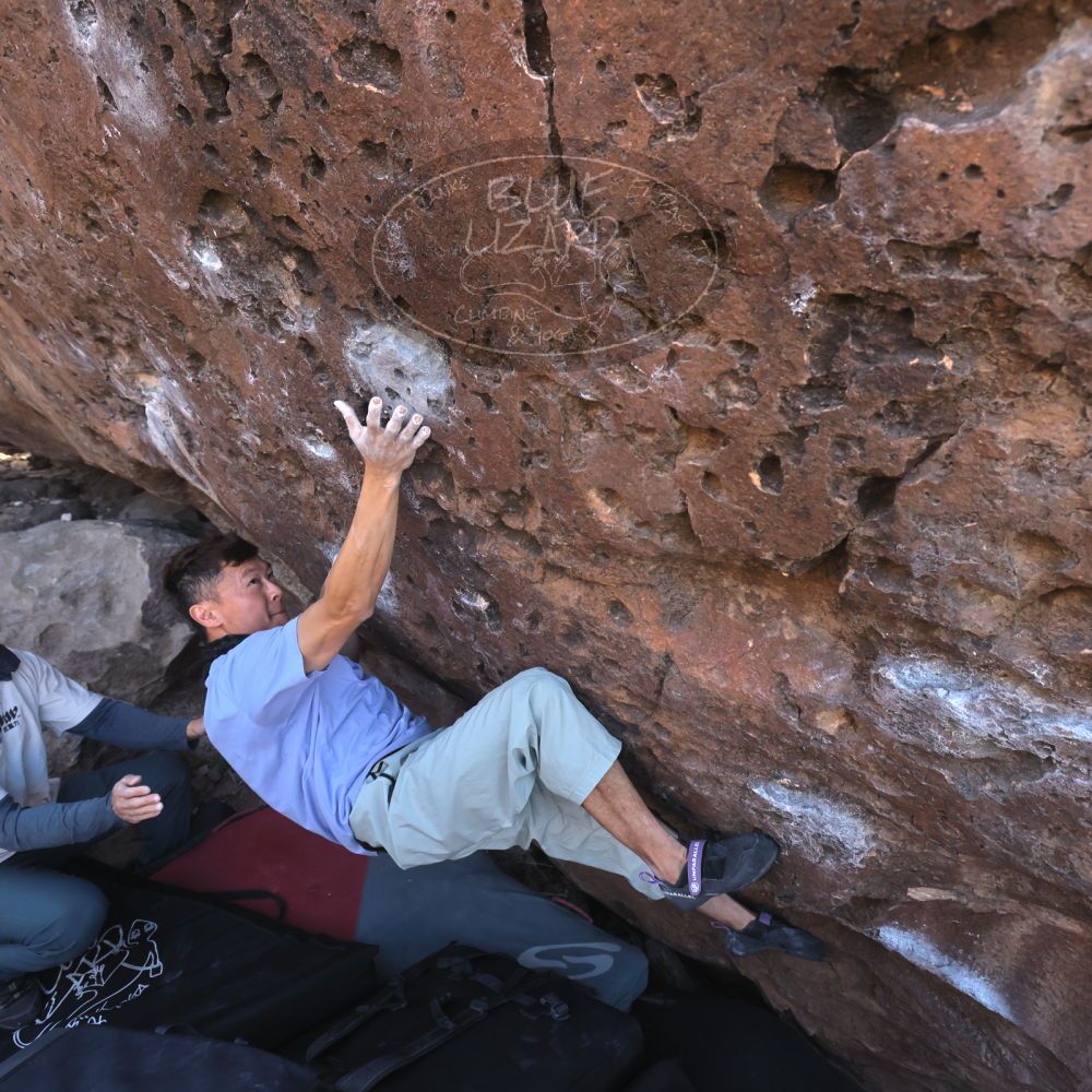 

Filename: SRM_20260329_0928380.jpg
Aperture: f/5.6
Shutter Speed: 1/640
Body: Canon EOS R6
Lens: Canon EF 16-35mm f/2.8 L