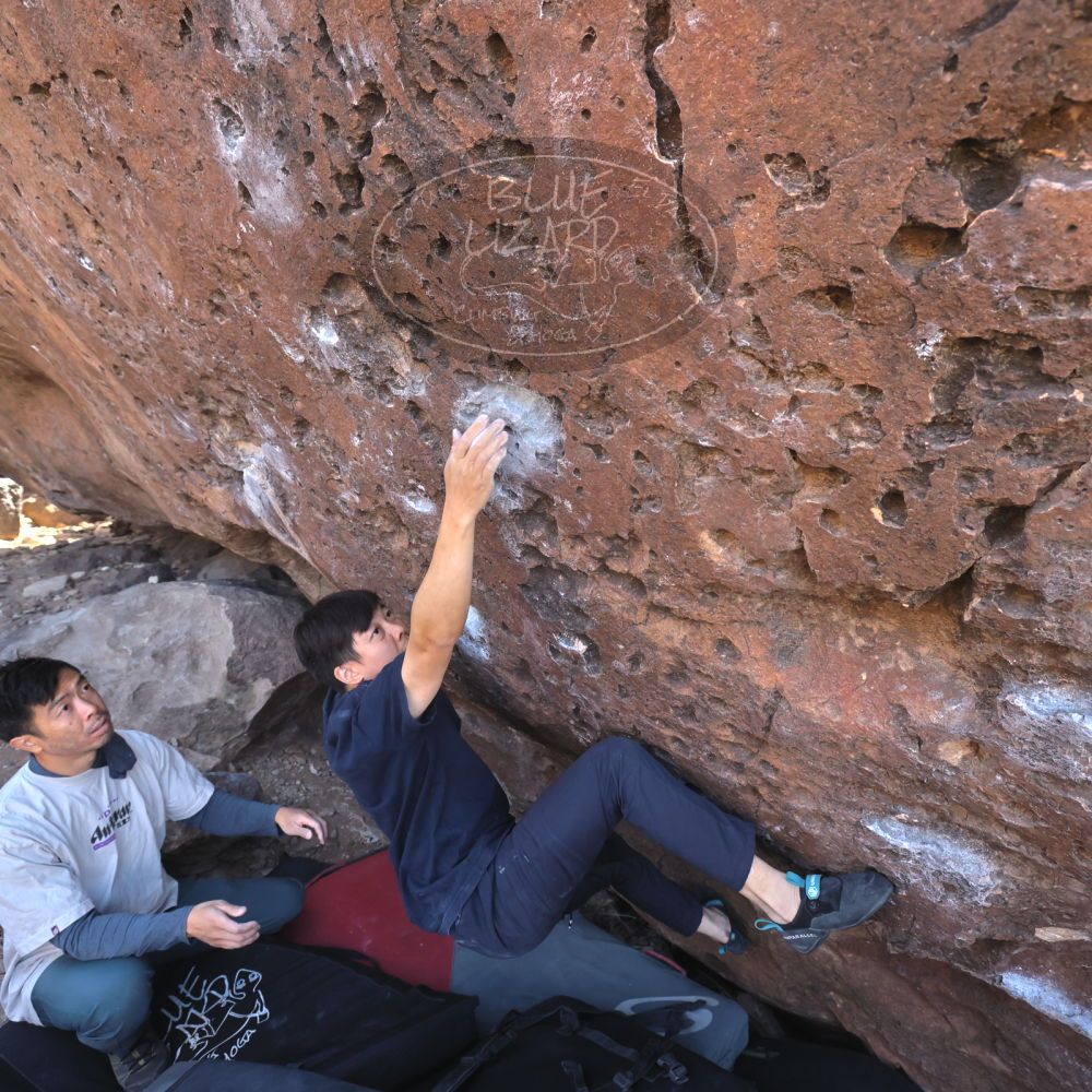 

Filename: SRM_20260329_0930400.jpg
Aperture: f/5.6
Shutter Speed: 1/500
Body: Canon EOS R6
Lens: Canon EF 16-35mm f/2.8 L