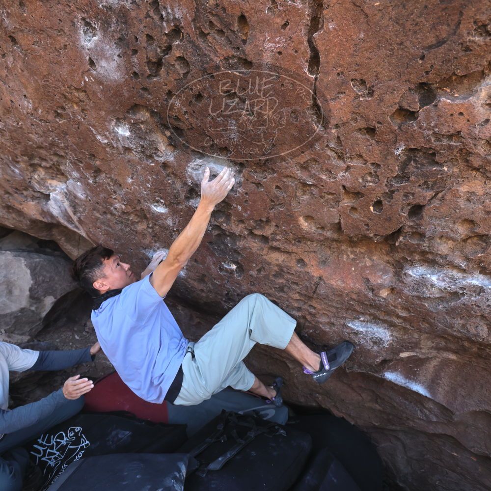 

Filename: SRM_20260329_0932170.jpg
Aperture: f/5.6
Shutter Speed: 1/500
Body: Canon EOS R6
Lens: Canon EF 16-35mm f/2.8 L