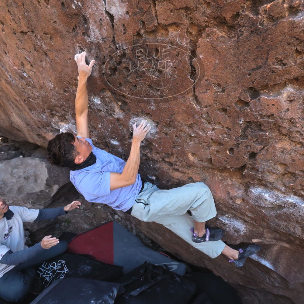 

Filename: SRM_20260329_0932220.jpg
Aperture: f/5.6
Shutter Speed: 1/500
Body: Canon EOS R6
Lens: Canon EF 16-35mm f/2.8 L