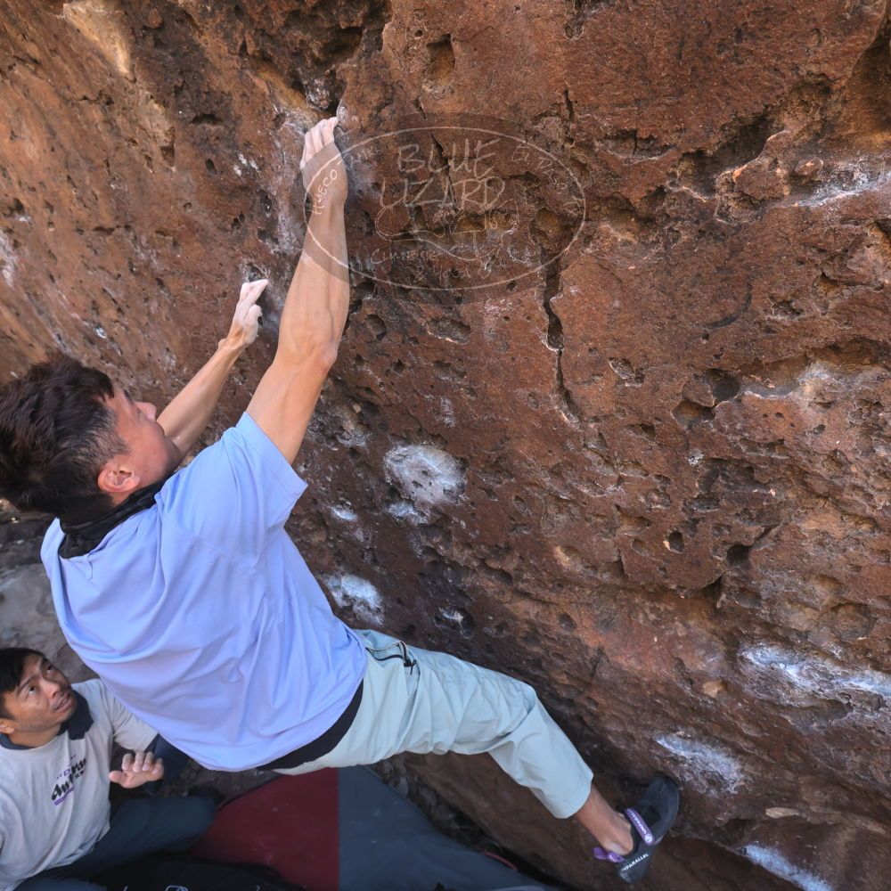 

Filename: SRM_20260329_0932240.jpg
Aperture: f/5.6
Shutter Speed: 1/500
Body: Canon EOS R6
Lens: Canon EF 16-35mm f/2.8 L