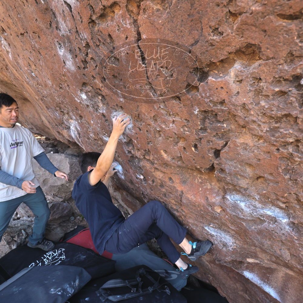 

Filename: SRM_20260329_0933470.jpg
Aperture: f/5.6
Shutter Speed: 1/500
Body: Canon EOS R6
Lens: Canon EF 16-35mm f/2.8 L