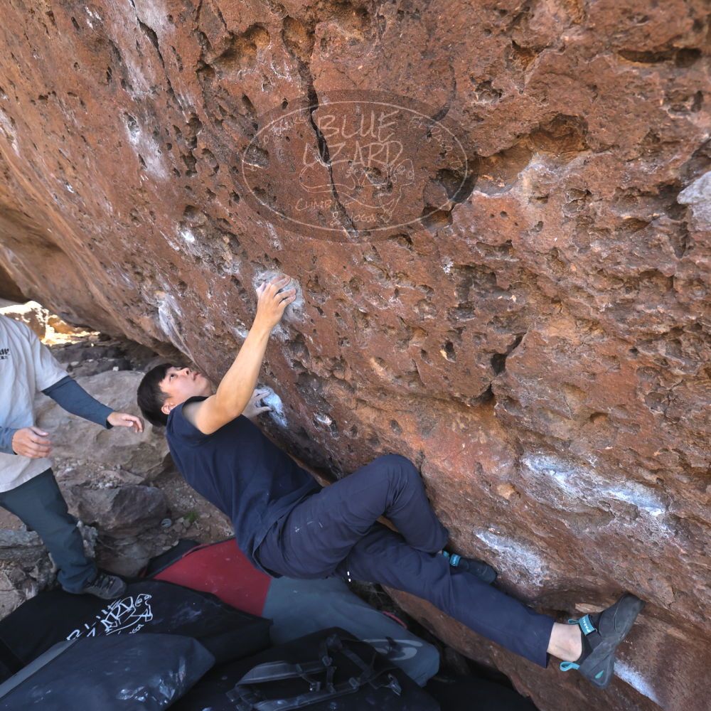 

Filename: SRM_20260329_0933480.jpg
Aperture: f/5.6
Shutter Speed: 1/500
Body: Canon EOS R6
Lens: Canon EF 16-35mm f/2.8 L