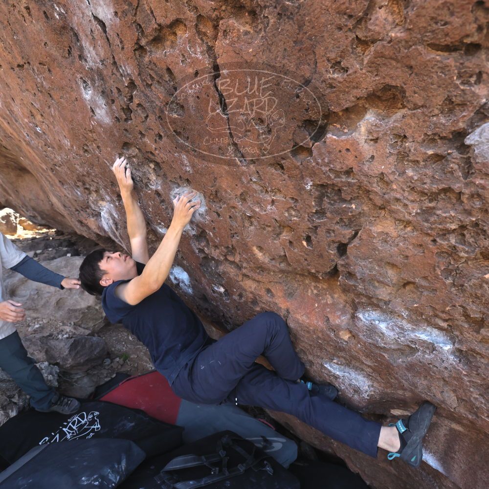 

Filename: SRM_20260329_0933490.jpg
Aperture: f/5.6
Shutter Speed: 1/500
Body: Canon EOS R6
Lens: Canon EF 16-35mm f/2.8 L