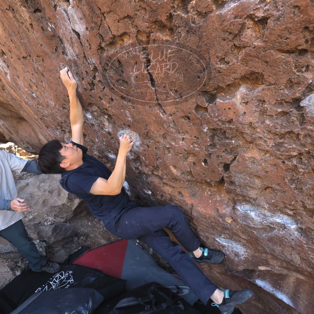 

Filename: SRM_20260329_0933520.jpg
Aperture: f/5.6
Shutter Speed: 1/500
Body: Canon EOS R6
Lens: Canon EF 16-35mm f/2.8 L