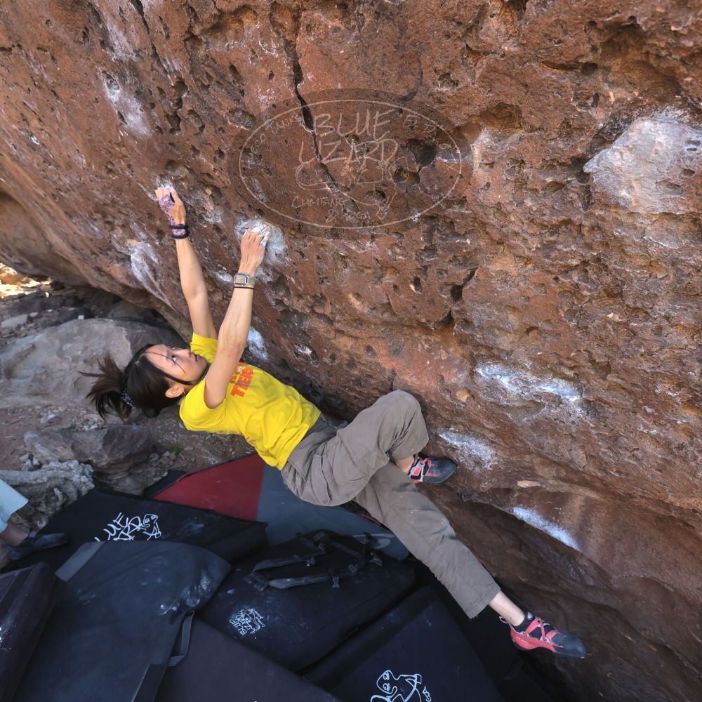 

Filename: SRM_20260329_0935520.jpg
Aperture: f/5.6
Shutter Speed: 1/500
Body: Canon EOS R6
Lens: Canon EF 16-35mm f/2.8 L