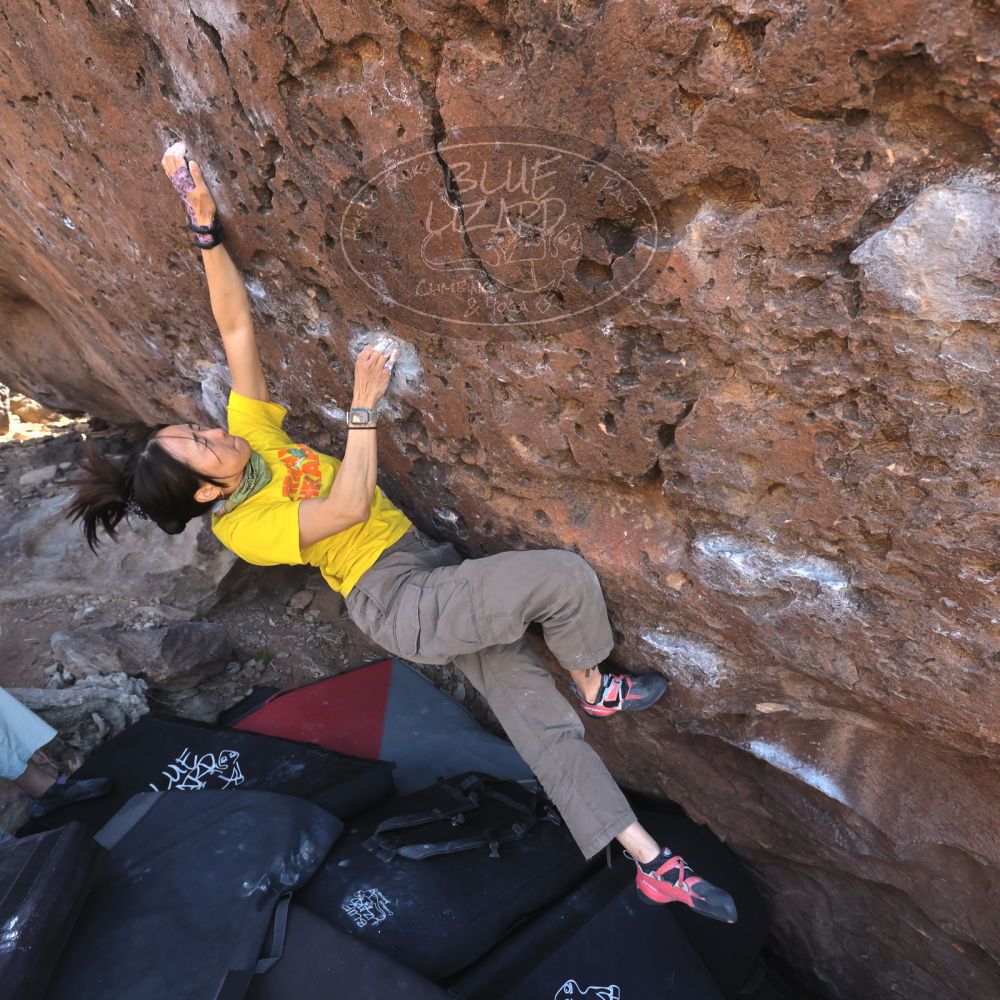 

Filename: SRM_20260329_0935570.jpg
Aperture: f/5.6
Shutter Speed: 1/500
Body: Canon EOS R6
Lens: Canon EF 16-35mm f/2.8 L