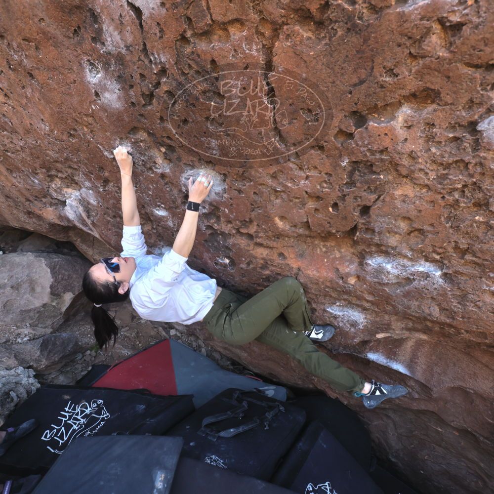 

Filename: SRM_20260329_0936540.jpg
Aperture: f/5.6
Shutter Speed: 1/500
Body: Canon EOS R6
Lens: Canon EF 16-35mm f/2.8 L