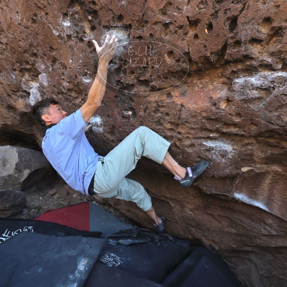 

Filename: SRM_20260329_0941290.jpg
Aperture: f/5.6
Shutter Speed: 1/500
Body: Canon EOS R6
Lens: Canon EF 16-35mm f/2.8 L