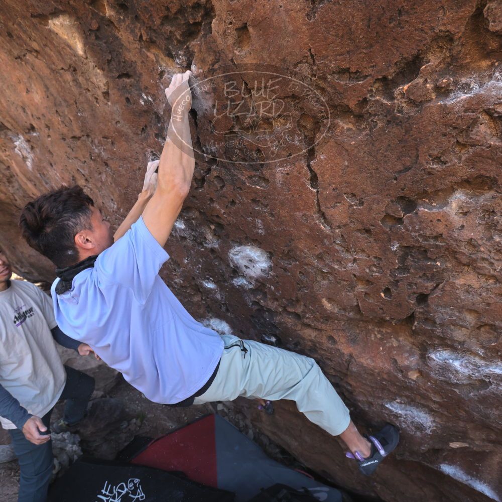 

Filename: SRM_20260329_0941350.jpg
Aperture: f/5.6
Shutter Speed: 1/500
Body: Canon EOS R6
Lens: Canon EF 16-35mm f/2.8 L