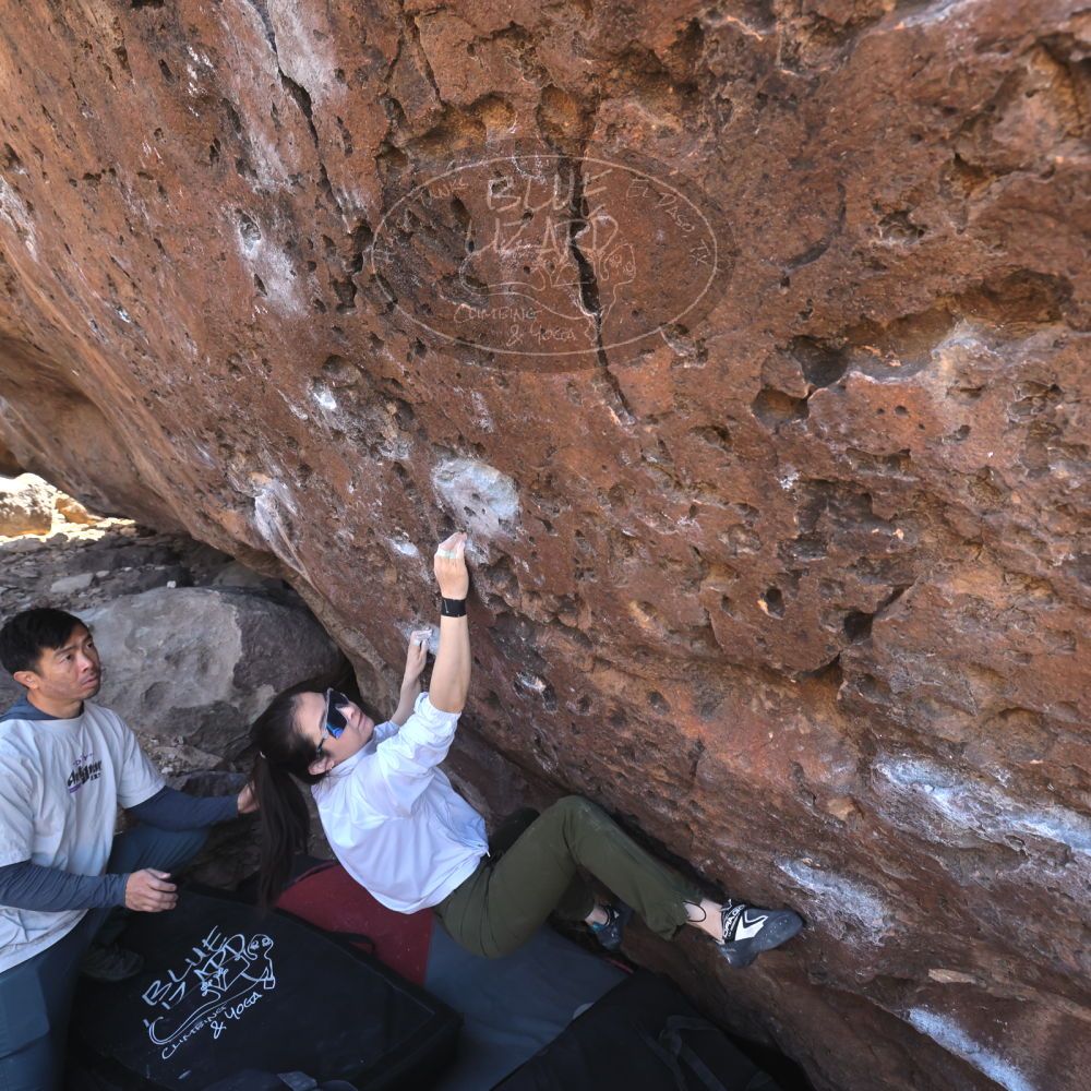 

Filename: SRM_20260329_1000140.jpg
Aperture: f/5.6
Shutter Speed: 1/500
Body: Canon EOS R6
Lens: Canon EF 16-35mm f/2.8 L