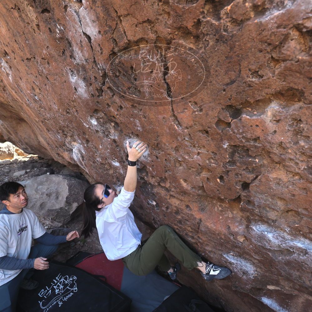 

Filename: SRM_20260329_1000160.jpg
Aperture: f/5.6
Shutter Speed: 1/500
Body: Canon EOS R6
Lens: Canon EF 16-35mm f/2.8 L