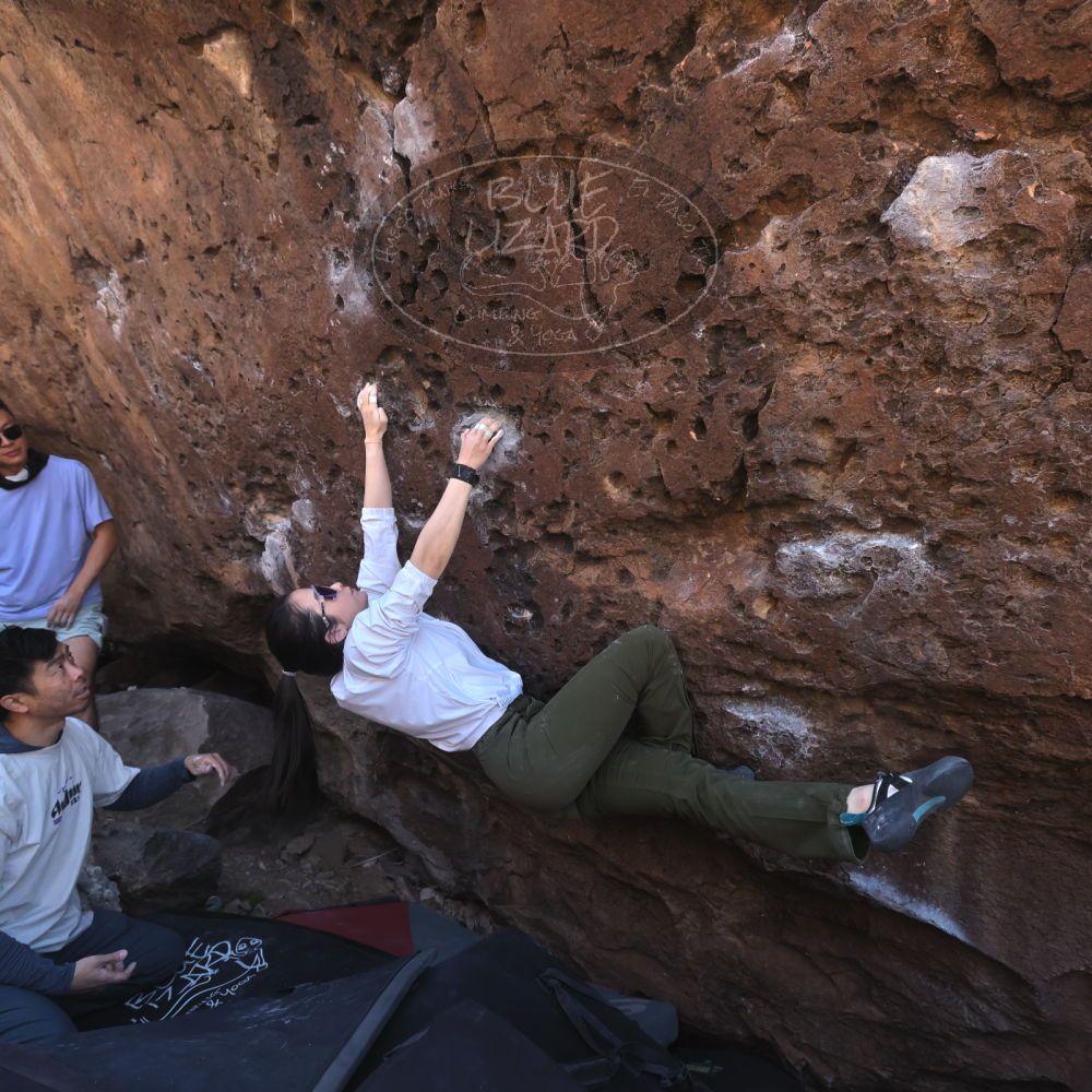 

Filename: SRM_20260329_1025340.jpg
Aperture: f/5.6
Shutter Speed: 1/500
Body: Canon EOS R6
Lens: Canon EF 16-35mm f/2.8 L