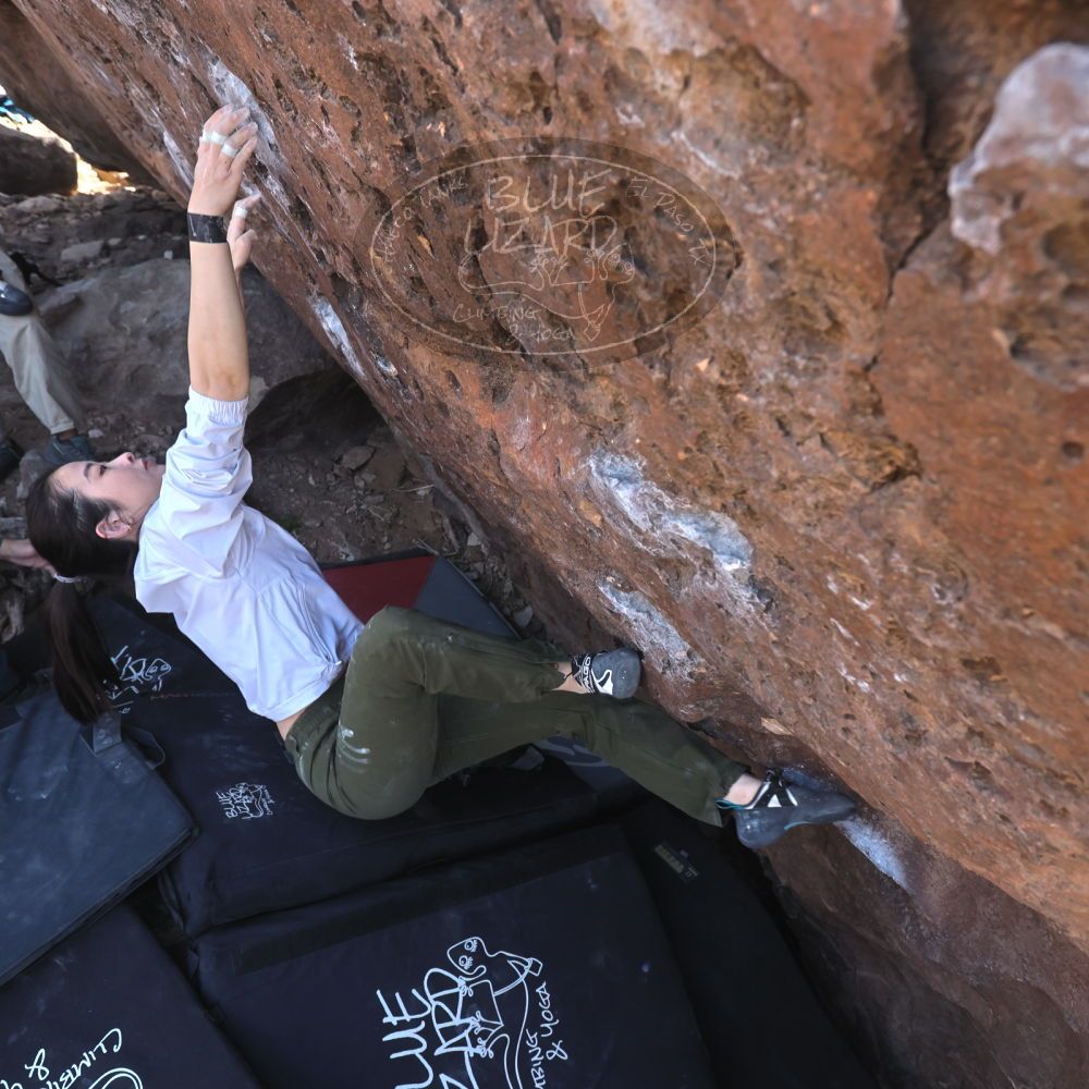 

Filename: SRM_20260329_1030570.jpg
Aperture: f/5.6
Shutter Speed: 1/500
Body: Canon EOS R6
Lens: Canon EF 16-35mm f/2.8 L