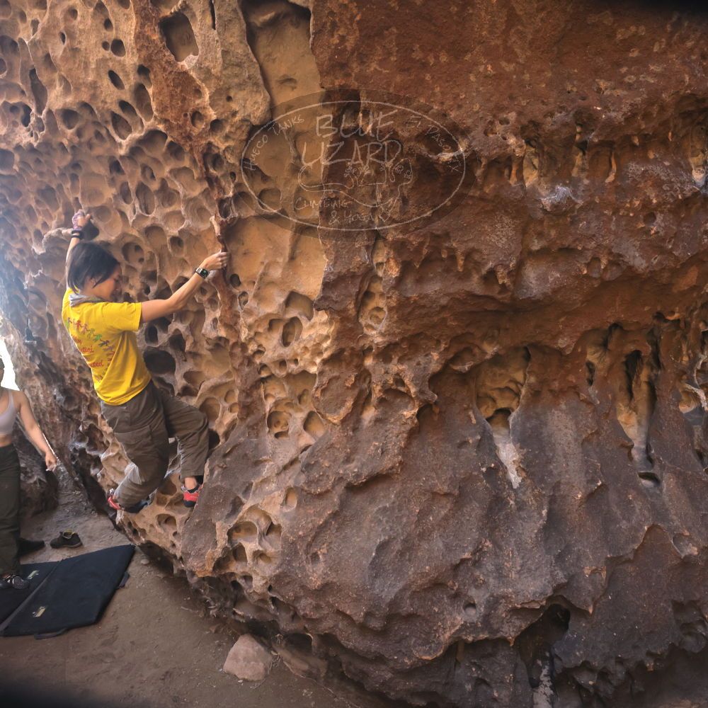 

Filename: SRM_20260329_1212060.jpg
Aperture: f/5.6
Shutter Speed: 1/250
Body: Canon EOS R6
Lens: Canon EF 16-35mm f/2.8 L