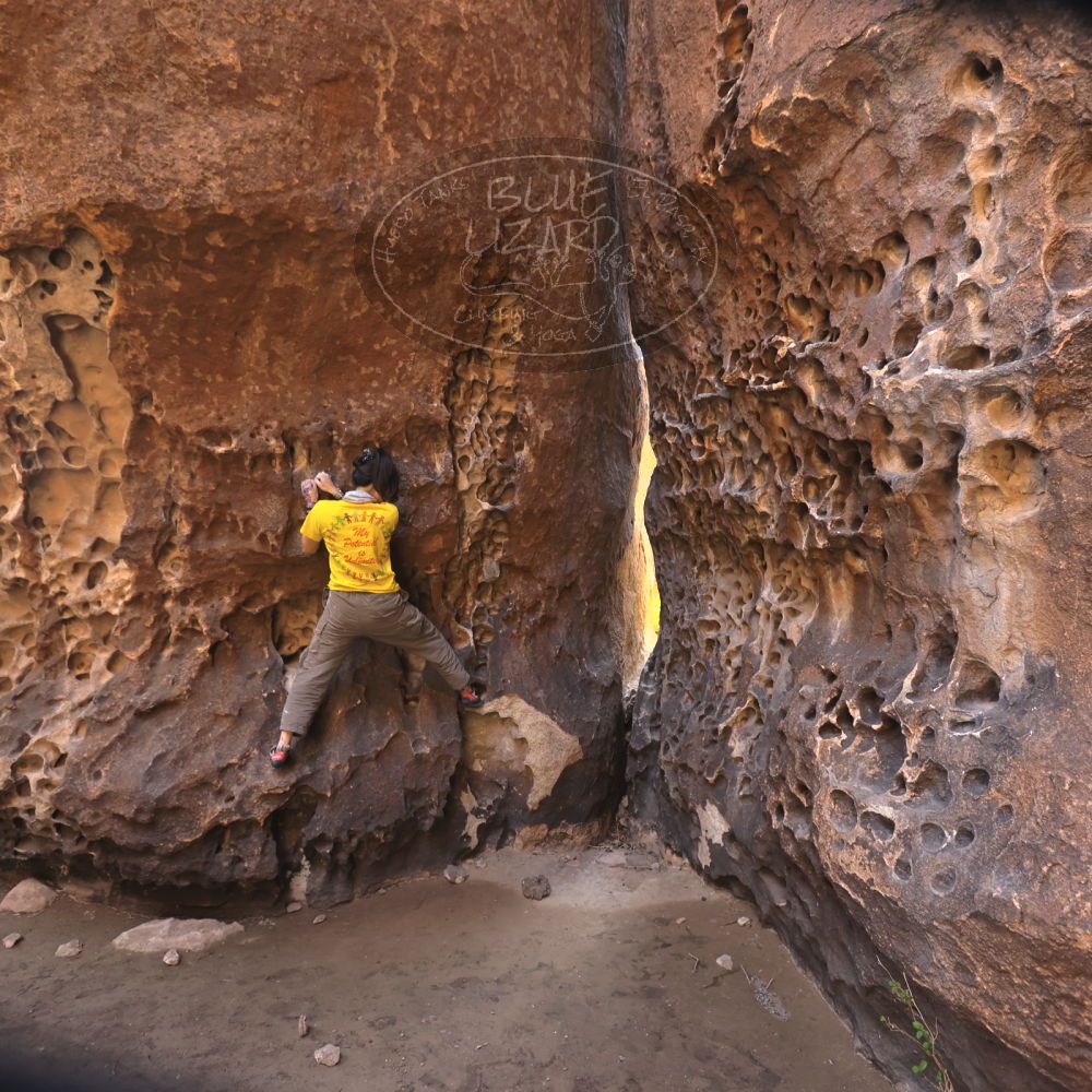 

Filename: SRM_20260329_1212360.jpg
Aperture: f/4.0
Shutter Speed: 1/160
Body: Canon EOS R6
Lens: Canon EF 16-35mm f/2.8 L