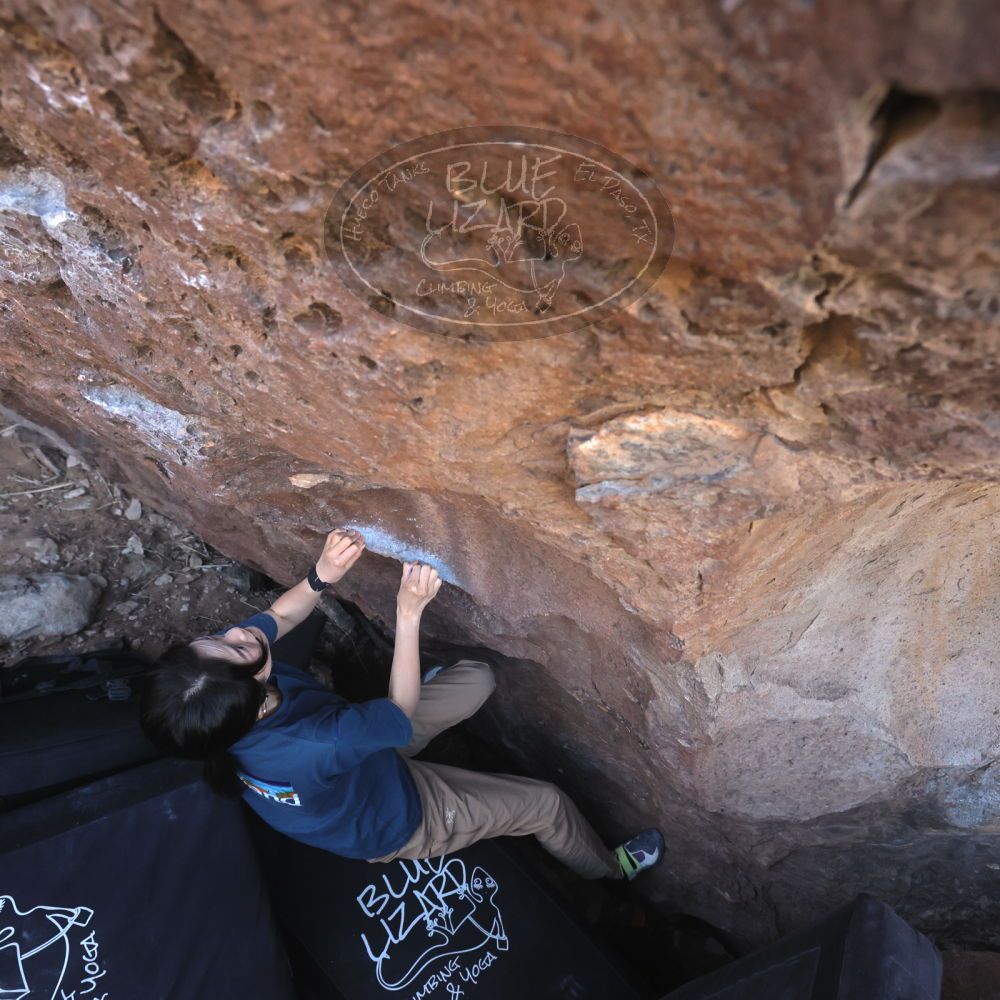 

Filename: SRM_20260329_0858230.jpg
Aperture: f/5.6
Shutter Speed: 1/640
Body: Canon EOS R6
Lens: Canon EF 16-35mm f/2.8 L