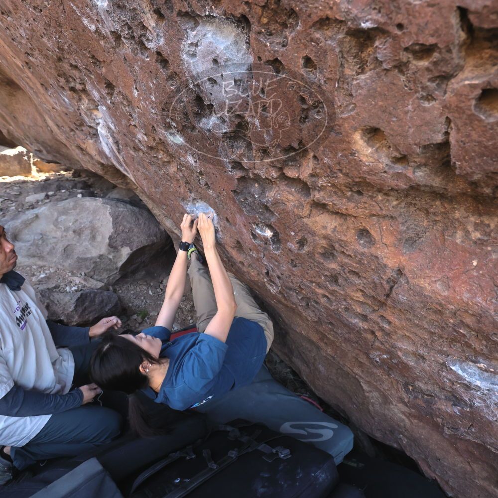 

Filename: SRM_20260329_0922020.jpg
Aperture: f/5.6
Shutter Speed: 1/640
Body: Canon EOS R6
Lens: Canon EF 16-35mm f/2.8 L