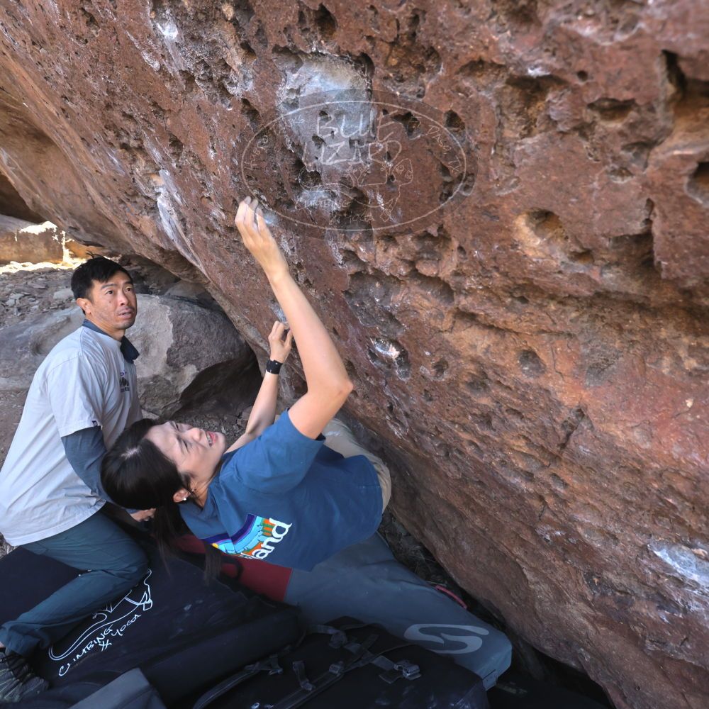 

Filename: SRM_20260329_0922030.jpg
Aperture: f/5.6
Shutter Speed: 1/640
Body: Canon EOS R6
Lens: Canon EF 16-35mm f/2.8 L