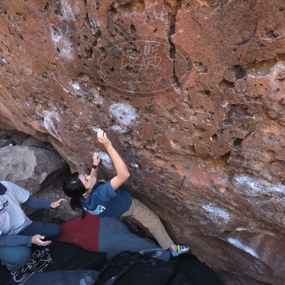 

Filename: SRM_20260329_0929230.jpg
Aperture: f/5.6
Shutter Speed: 1/640
Body: Canon EOS R6
Lens: Canon EF 16-35mm f/2.8 L