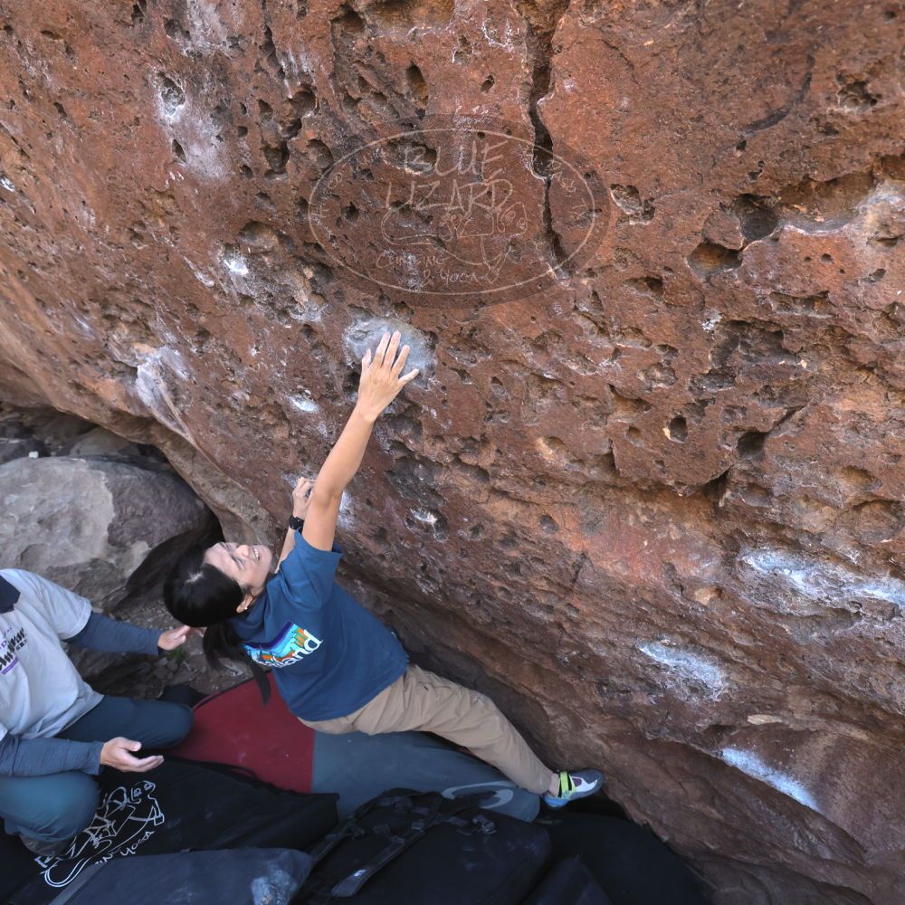 

Filename: SRM_20260329_0929231.jpg
Aperture: f/5.6
Shutter Speed: 1/640
Body: Canon EOS R6
Lens: Canon EF 16-35mm f/2.8 L