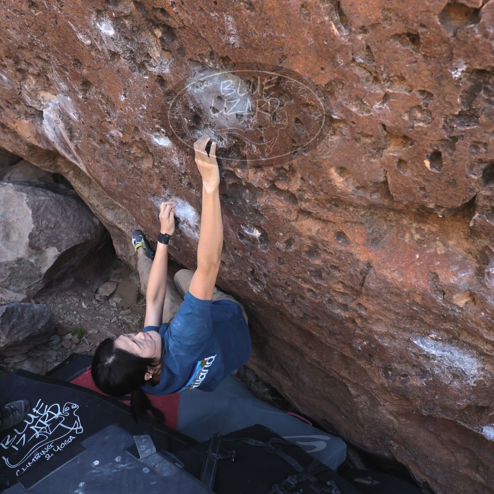 

Filename: SRM_20260329_1006230.jpg
Aperture: f/5.6
Shutter Speed: 1/500
Body: Canon EOS R6
Lens: Canon EF 16-35mm f/2.8 L