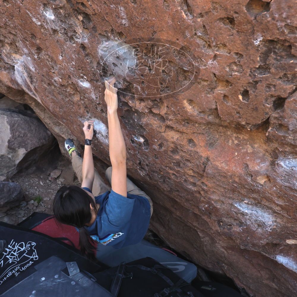 

Filename: SRM_20260329_1006540.jpg
Aperture: f/5.6
Shutter Speed: 1/500
Body: Canon EOS R6
Lens: Canon EF 16-35mm f/2.8 L