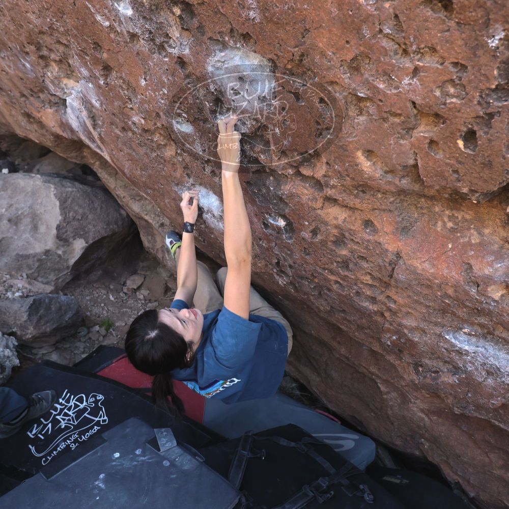 

Filename: SRM_20260329_1006541.jpg
Aperture: f/5.6
Shutter Speed: 1/500
Body: Canon EOS R6
Lens: Canon EF 16-35mm f/2.8 L