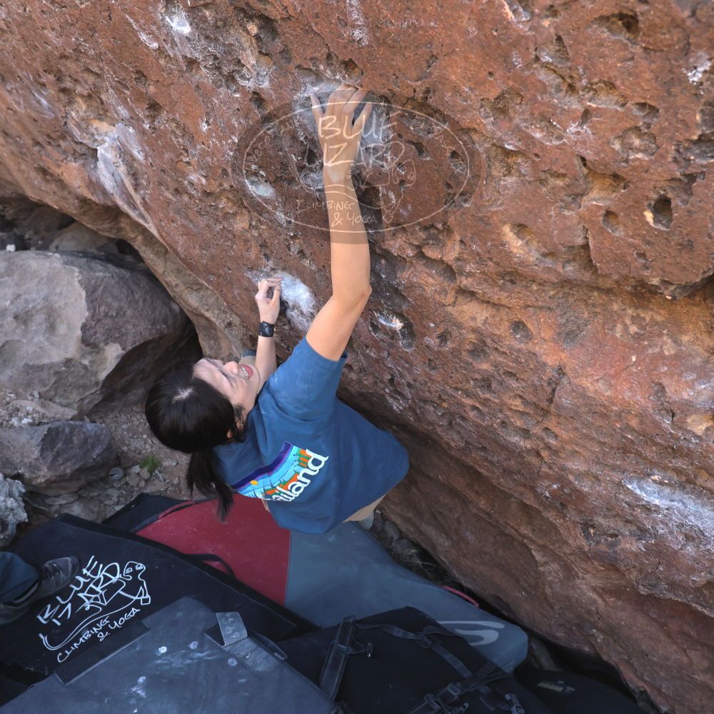 

Filename: SRM_20260329_1006550.jpg
Aperture: f/5.6
Shutter Speed: 1/500
Body: Canon EOS R6
Lens: Canon EF 16-35mm f/2.8 L