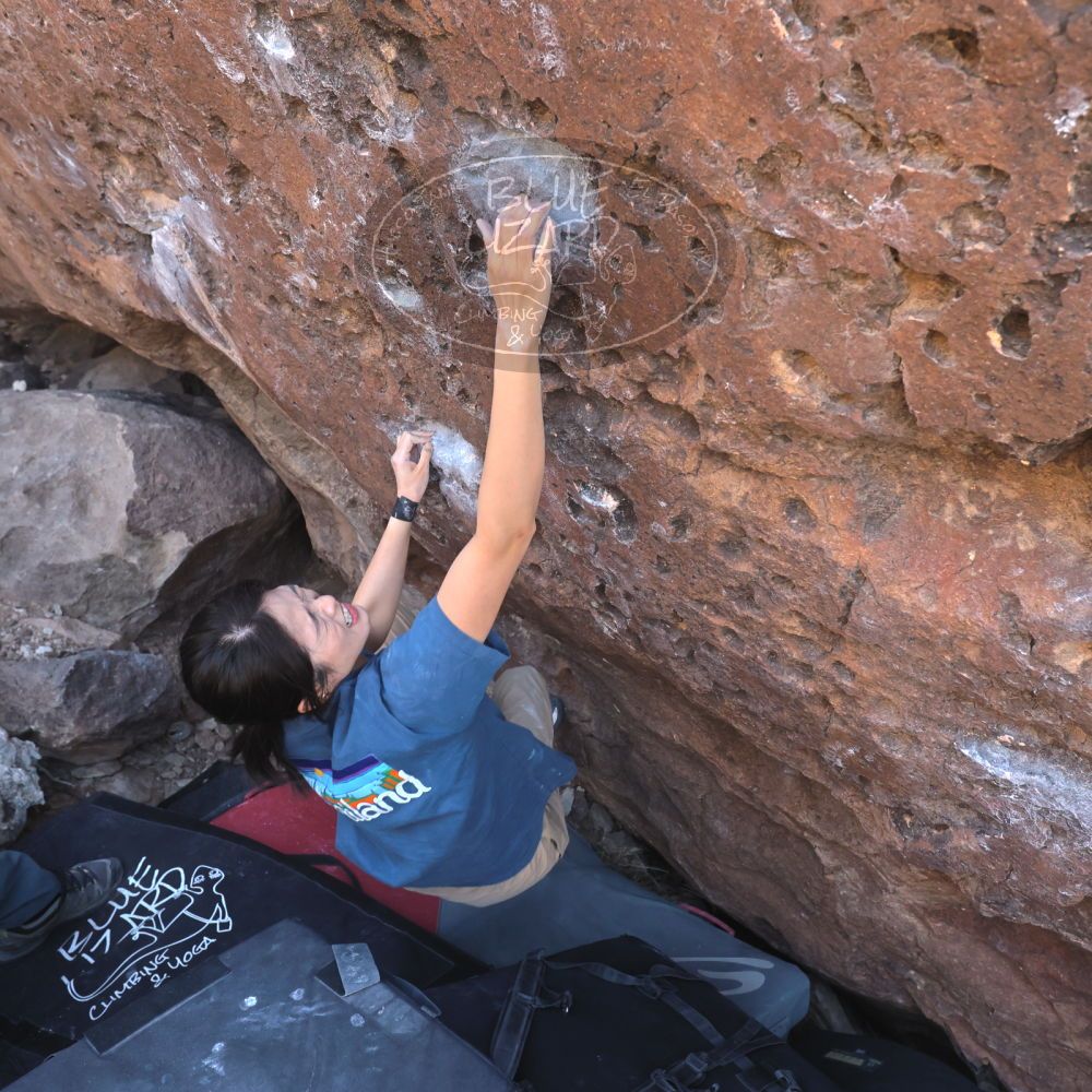 

Filename: SRM_20260329_1006551.jpg
Aperture: f/5.6
Shutter Speed: 1/500
Body: Canon EOS R6
Lens: Canon EF 16-35mm f/2.8 L