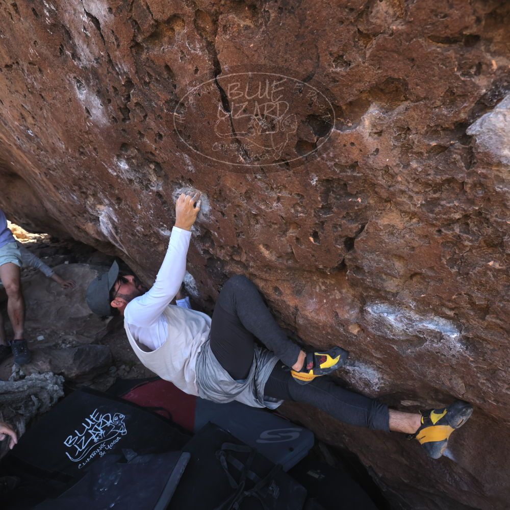 

Filename: SRM_20260329_1024160.jpg
Aperture: f/5.6
Shutter Speed: 1/500
Body: Canon EOS R6
Lens: Canon EF 16-35mm f/2.8 L