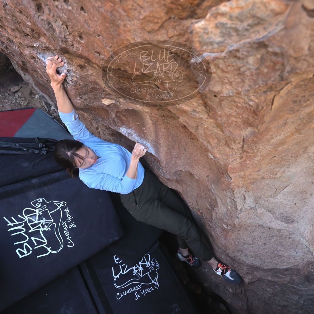 

Filename: SRM_20260329_1031300.jpg
Aperture: f/5.6
Shutter Speed: 1/500
Body: Canon EOS R6
Lens: Canon EF 16-35mm f/2.8 L