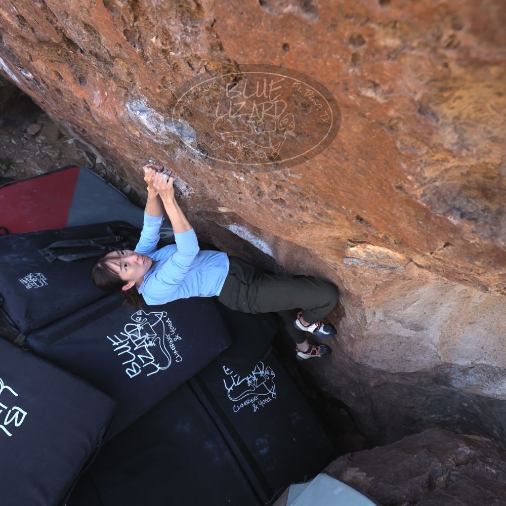 

Filename: SRM_20260329_1031380.jpg
Aperture: f/5.6
Shutter Speed: 1/500
Body: Canon EOS R6
Lens: Canon EF 16-35mm f/2.8 L