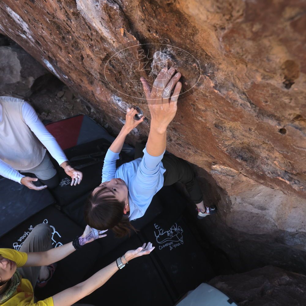 

Filename: SRM_20260329_1031510.jpg
Aperture: f/5.6
Shutter Speed: 1/500
Body: Canon EOS R6
Lens: Canon EF 16-35mm f/2.8 L