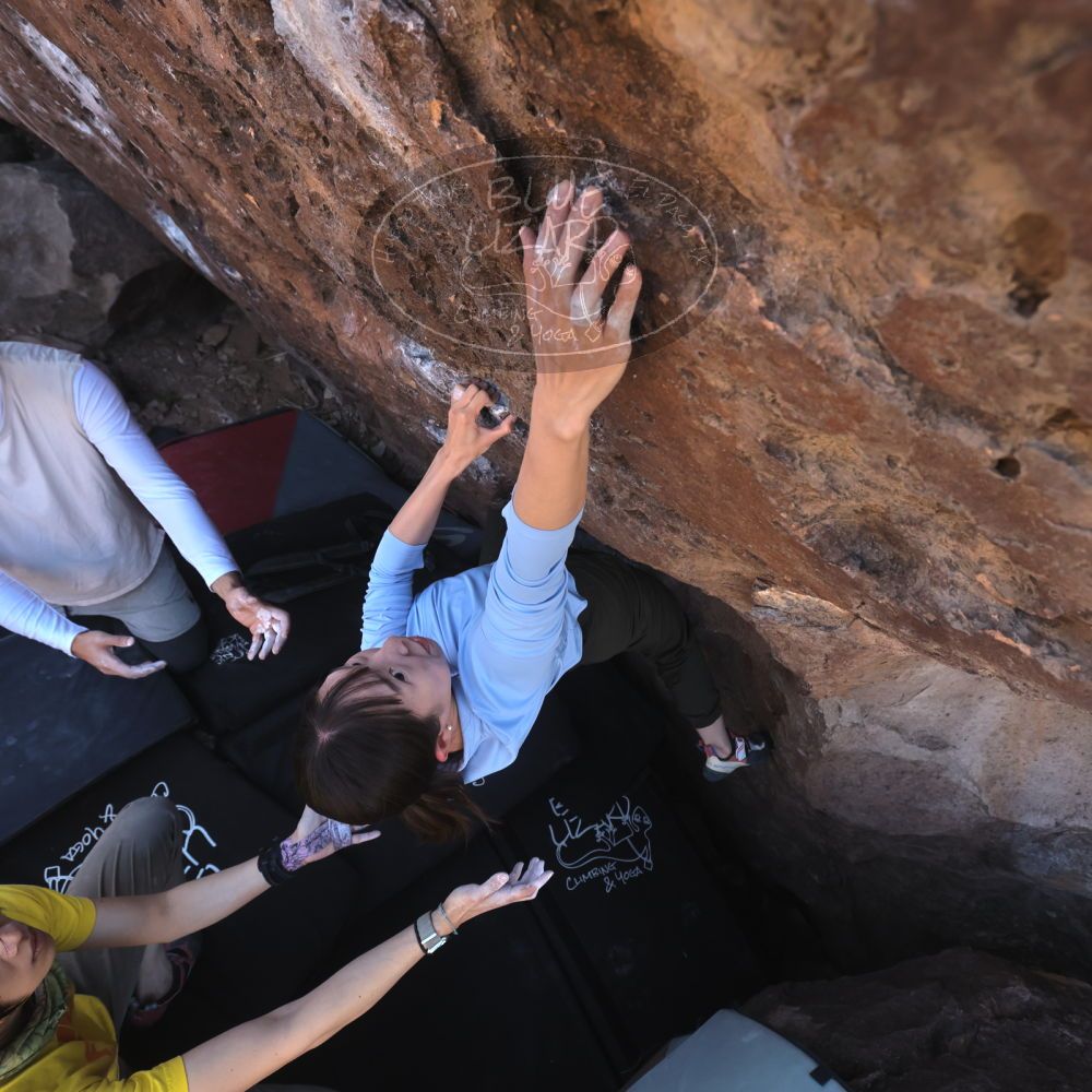 Filename: SRM_20260329_1031520.jpg
Aperture: f/5.6
Shutter Speed: 1/500
Body: Canon EOS R6
Lens: Canon EF 16-35mm f/2.8 L