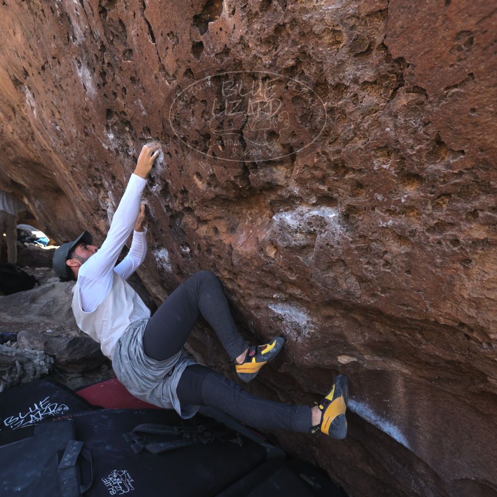 Filename: SRM_20260329_1033450.jpg
Aperture: f/5.6
Shutter Speed: 1/500
Body: Canon EOS R6
Lens: Canon EF 16-35mm f/2.8 L