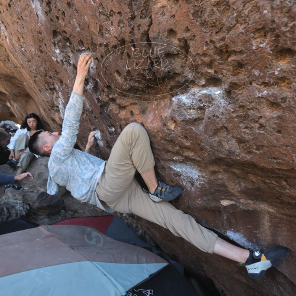 

Filename: SRM_20260329_1038560.jpg
Aperture: f/5.6
Shutter Speed: 1/100
Body: Canon EOS R6
Lens: Canon EF 16-35mm f/2.8 L