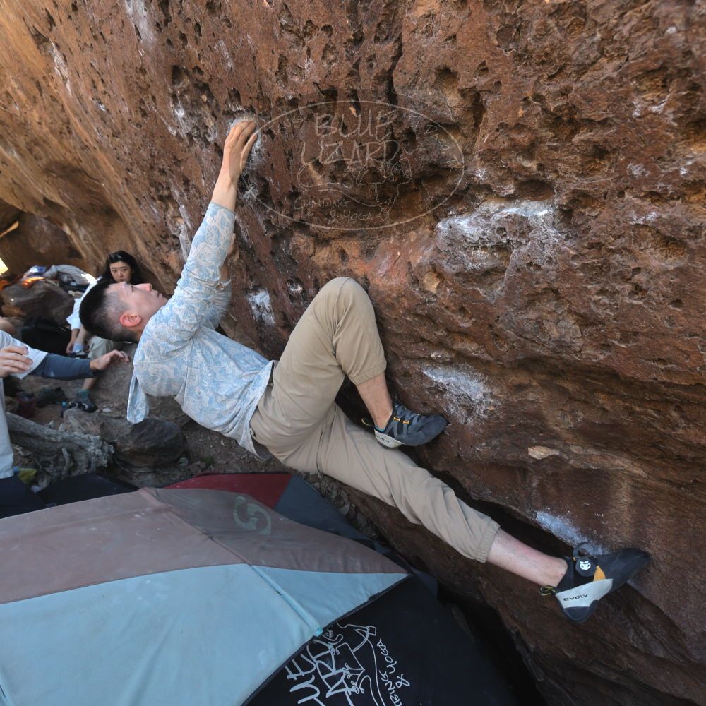 

Filename: SRM_20260329_1038580.jpg
Aperture: f/5.6
Shutter Speed: 1/100
Body: Canon EOS R6
Lens: Canon EF 16-35mm f/2.8 L