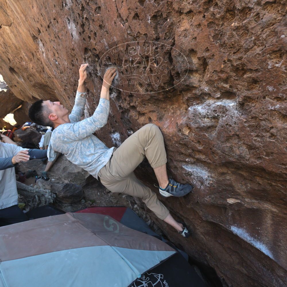 Filename: SRM_20260329_1039030.jpg
Aperture: f/5.6
Shutter Speed: 1/100
Body: Canon EOS R6
Lens: Canon EF 16-35mm f/2.8 L