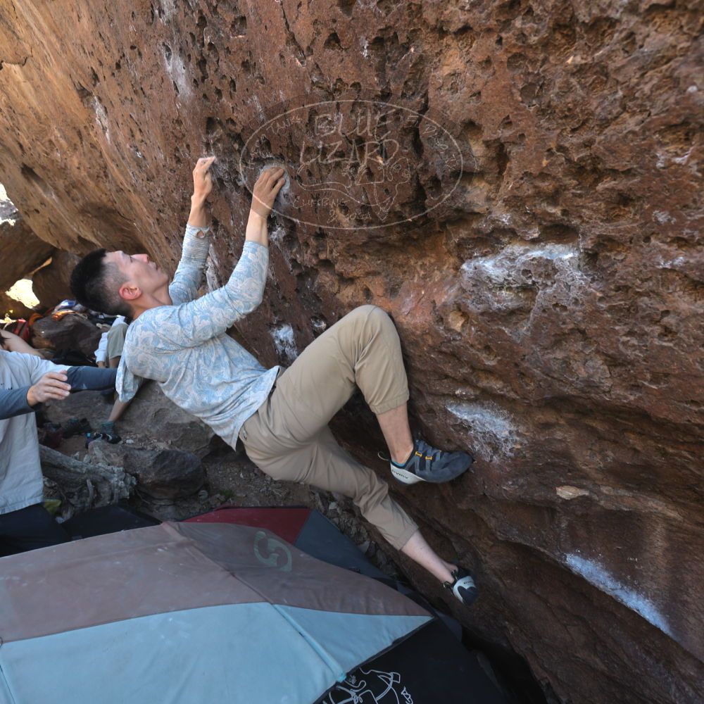 

Filename: SRM_20260329_1039031.jpg
Aperture: f/5.6
Shutter Speed: 1/100
Body: Canon EOS R6
Lens: Canon EF 16-35mm f/2.8 L