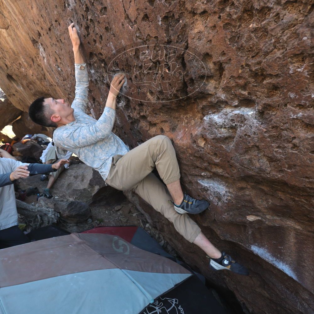 Filename: SRM_20260329_1039040.jpg
Aperture: f/5.6
Shutter Speed: 1/100
Body: Canon EOS R6
Lens: Canon EF 16-35mm f/2.8 L