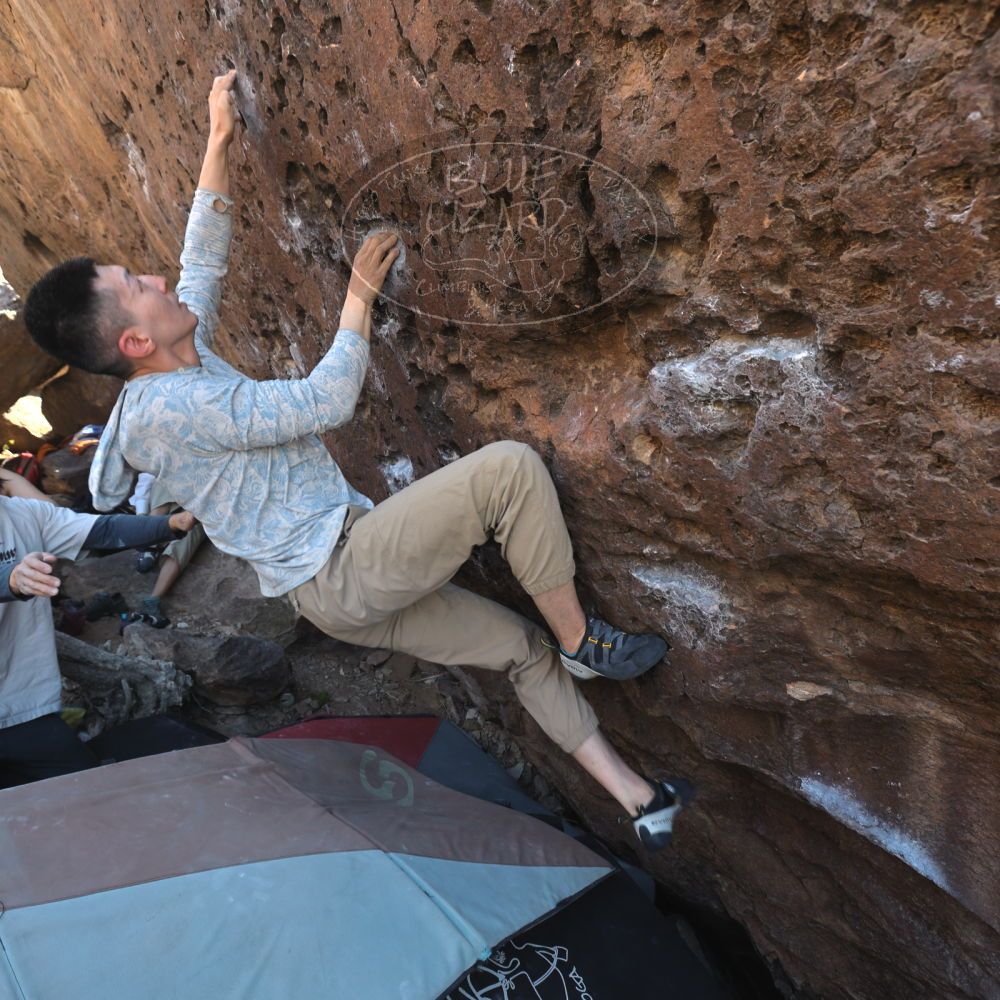 

Filename: SRM_20260329_1039041.jpg
Aperture: f/5.6
Shutter Speed: 1/100
Body: Canon EOS R6
Lens: Canon EF 16-35mm f/2.8 L