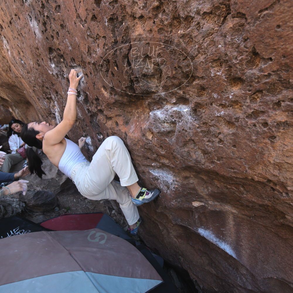 Filename: SRM_20260329_1041030.jpg
Aperture: f/5.6
Shutter Speed: 1/100
Body: Canon EOS R6
Lens: Canon EF 16-35mm f/2.8 L