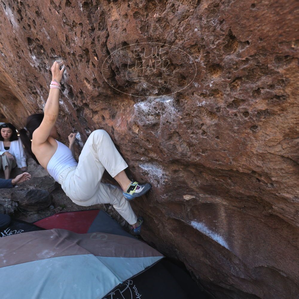 Filename: SRM_20260329_1051210.jpg
Aperture: f/5.6
Shutter Speed: 1/100
Body: Canon EOS R6
Lens: Canon EF 16-35mm f/2.8 L