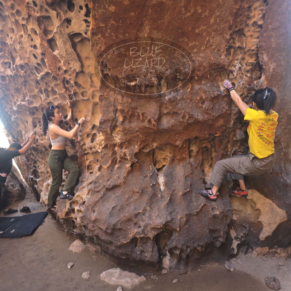 Filename: SRM_20260329_1212430.jpg
Aperture: f/4.0
Shutter Speed: 1/160
Body: Canon EOS R6
Lens: Canon EF 16-35mm f/2.8 L