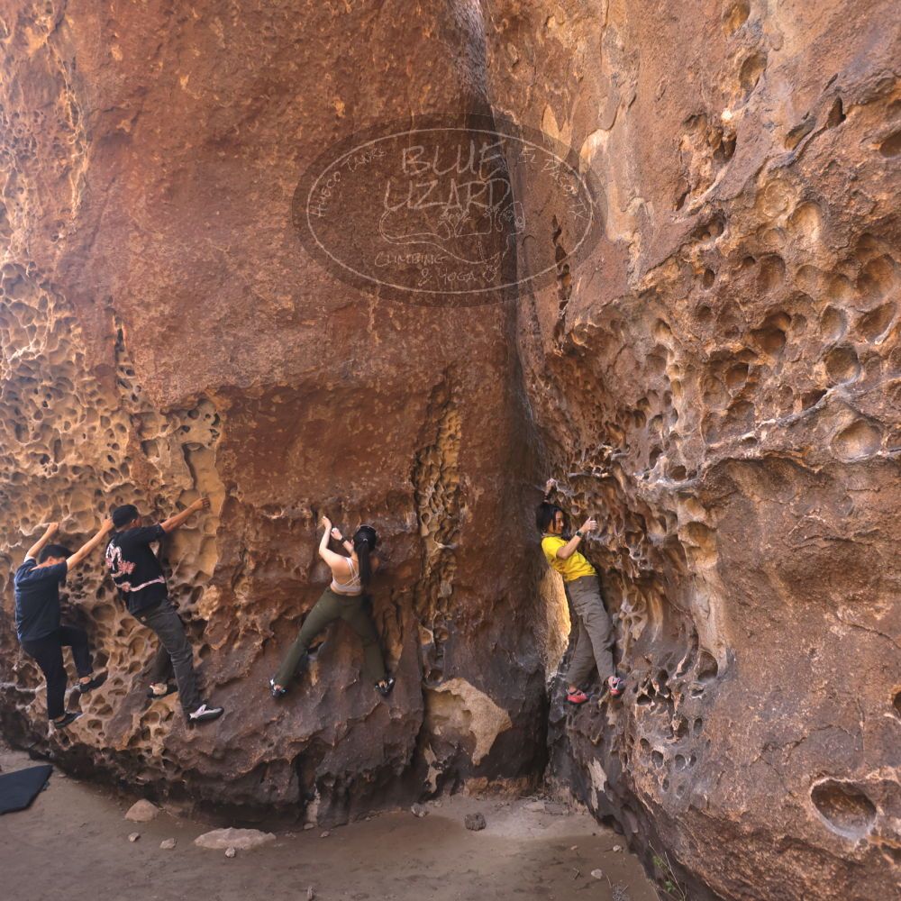 Filename: SRM_20260329_1213110.jpg
Aperture: f/4.0
Shutter Speed: 1/160
Body: Canon EOS R6
Lens: Canon EF 16-35mm f/2.8 L