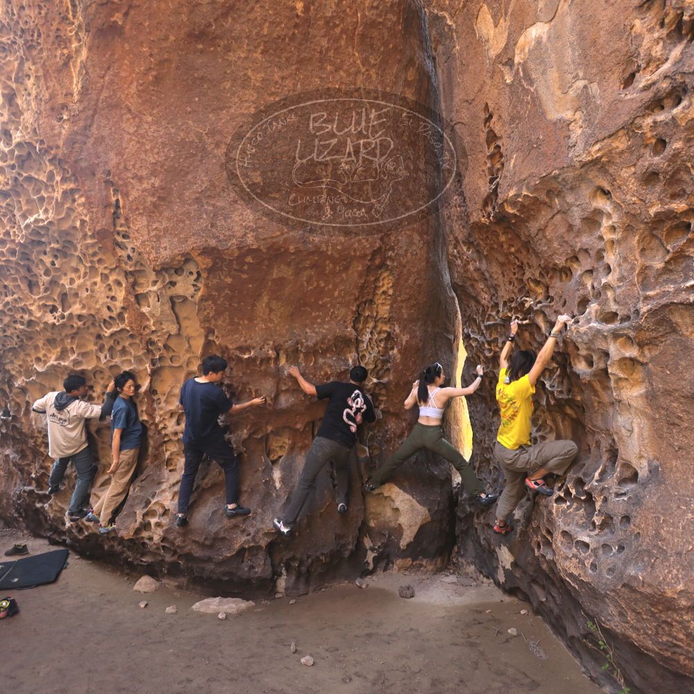 Filename: SRM_20260329_1214040.jpg
Aperture: f/4.0
Shutter Speed: 1/160
Body: Canon EOS R6
Lens: Canon EF 16-35mm f/2.8 L